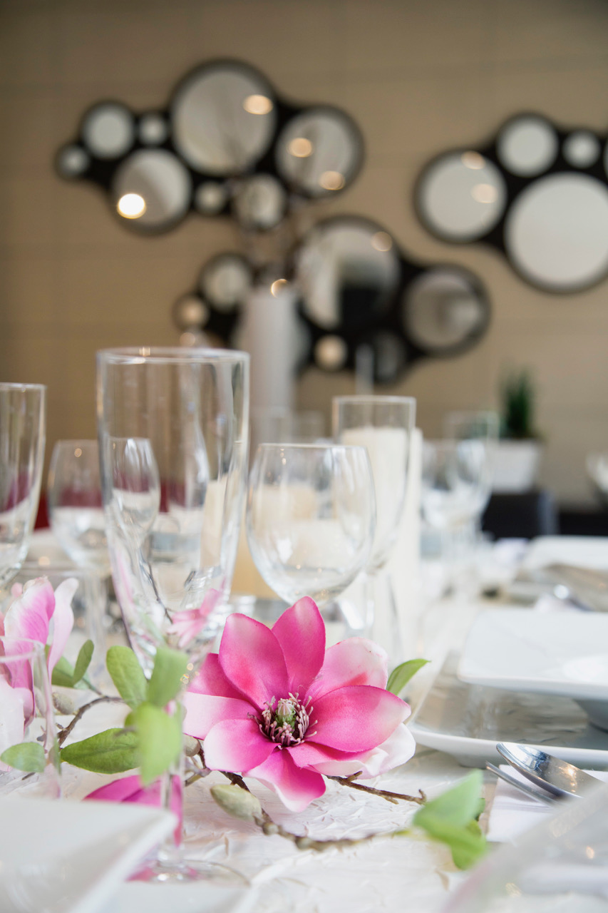 Image chef and the city 4