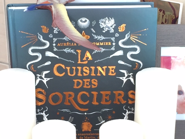 Photos souvenirs des ateliers...