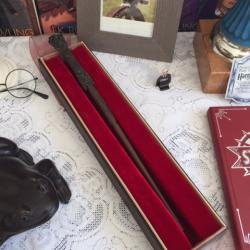 Photos souvenirs des ateliers...