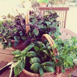 Photos souvenirs des ateliers...