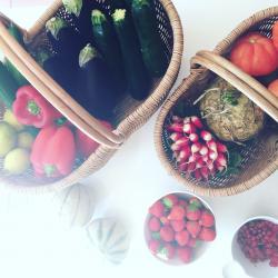 Atelier DETOX, les 5 éléments en médecine chinoise