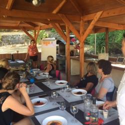 Atelier DETOX, les 5 éléments en médecine chinoise