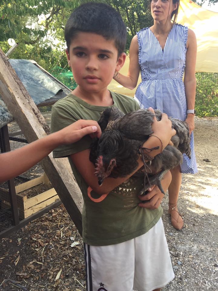 Nos oeufs et nos poules...