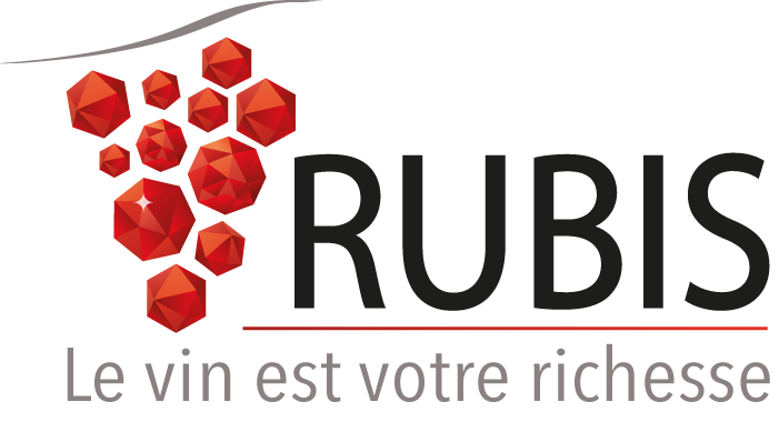 Logo rubis transparent rvb