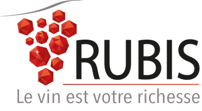 Logo rubis transparent rvb