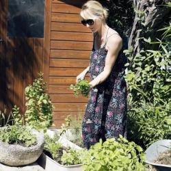 Shooting de l'atelier du 03/07/17 - Chef Christophe Carlotti - Volaille Objectif Zéro Déchet